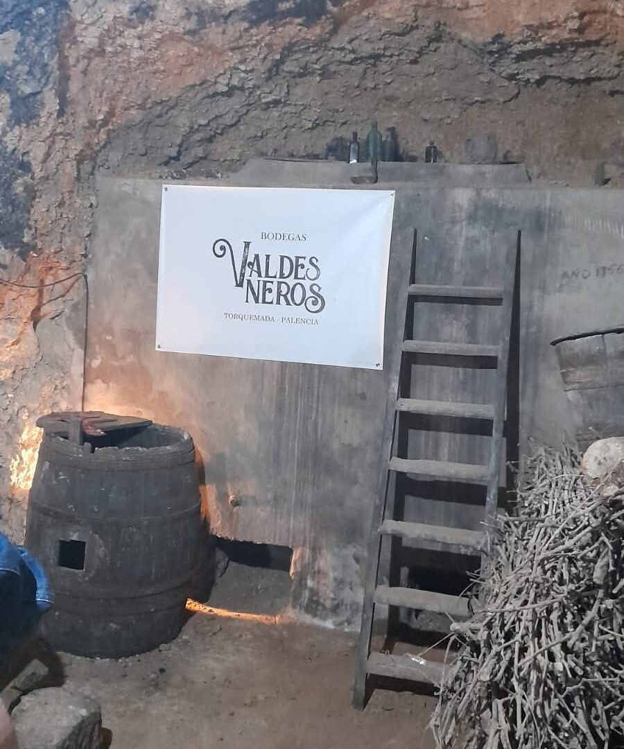 Viñedos y puesta de sol