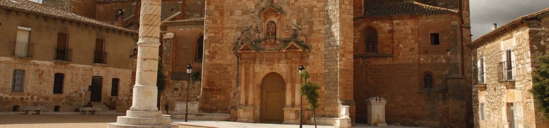 Viñedos y puesta de sol