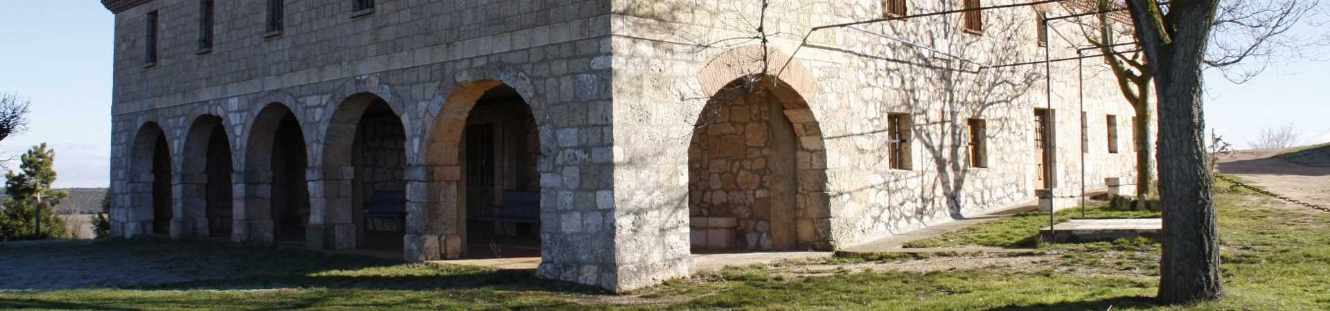 Viñedos y puesta de sol