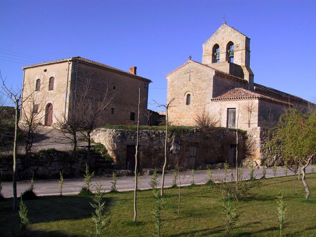 Viñedos y puesta de sol
