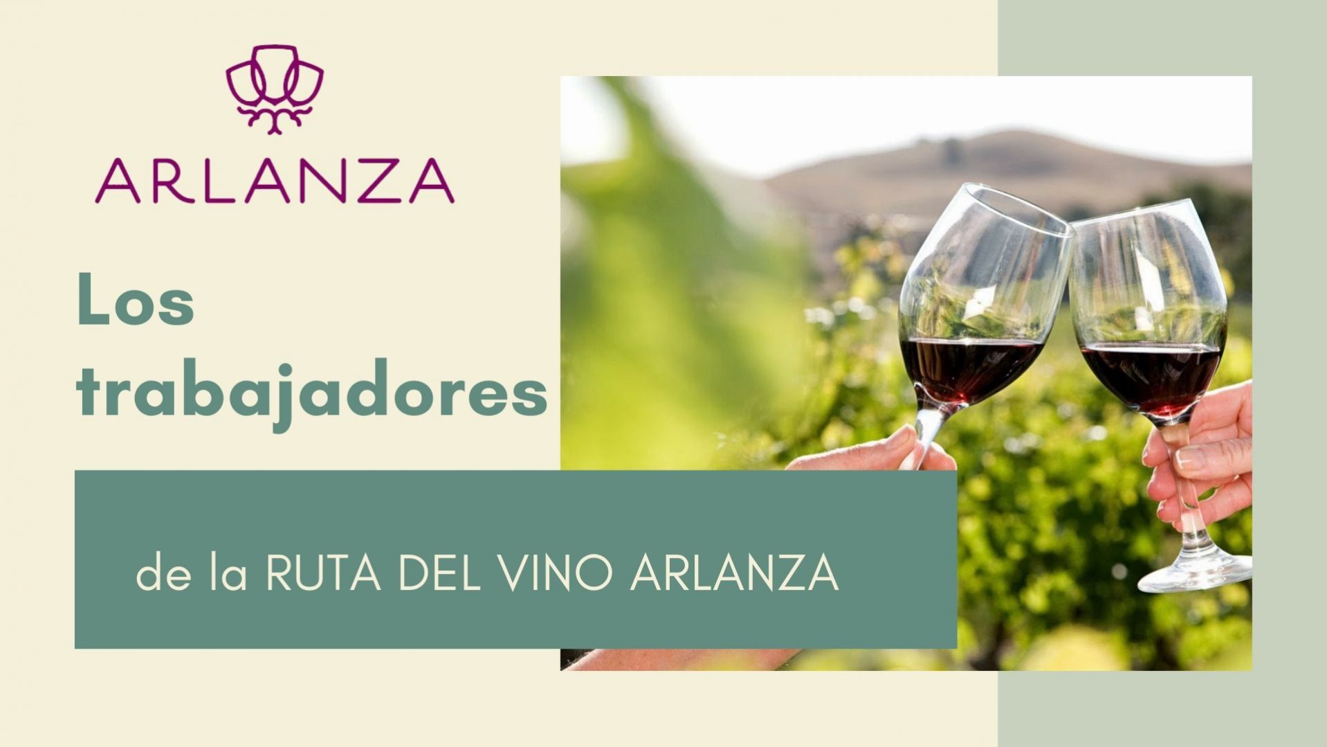 Viñedos y puesta de sol