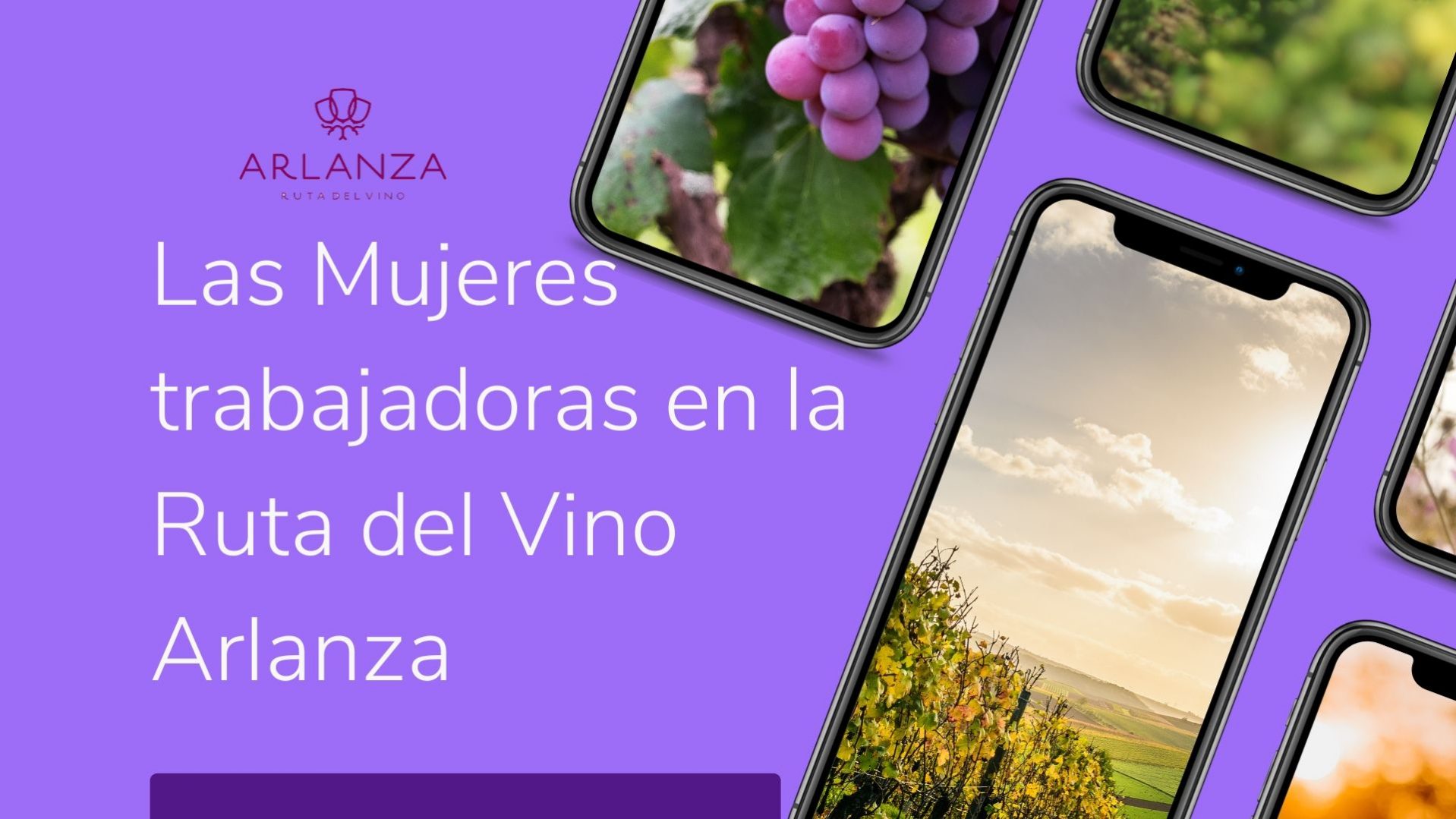 Viñedos y puesta de sol