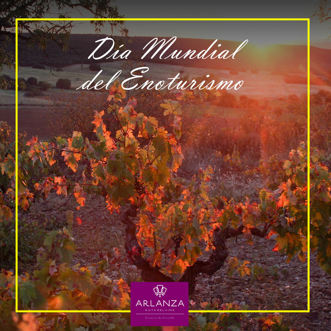 Viñedos y puesta de sol