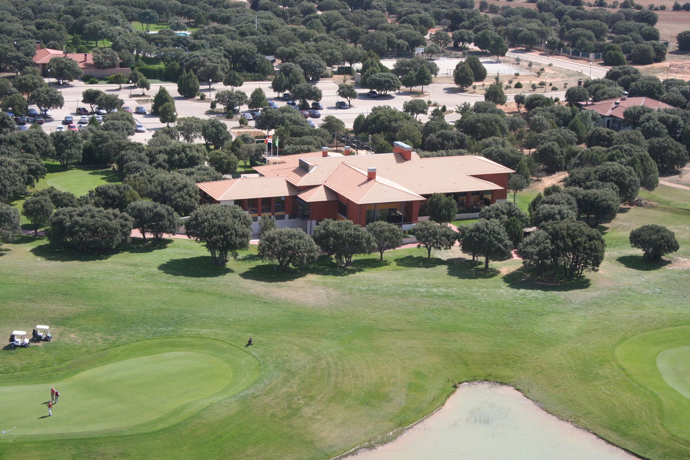 Viñedos y puesta de sol