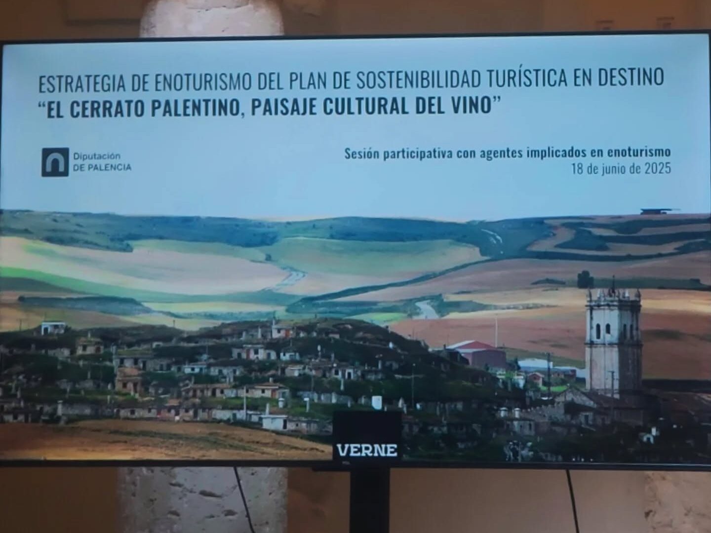 Viñedos y puesta de sol