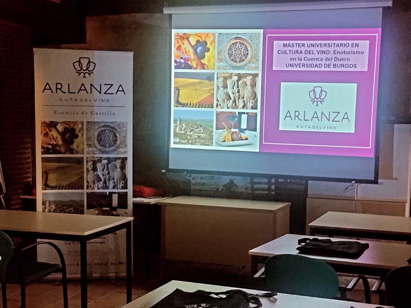 Viñedos y puesta de sol