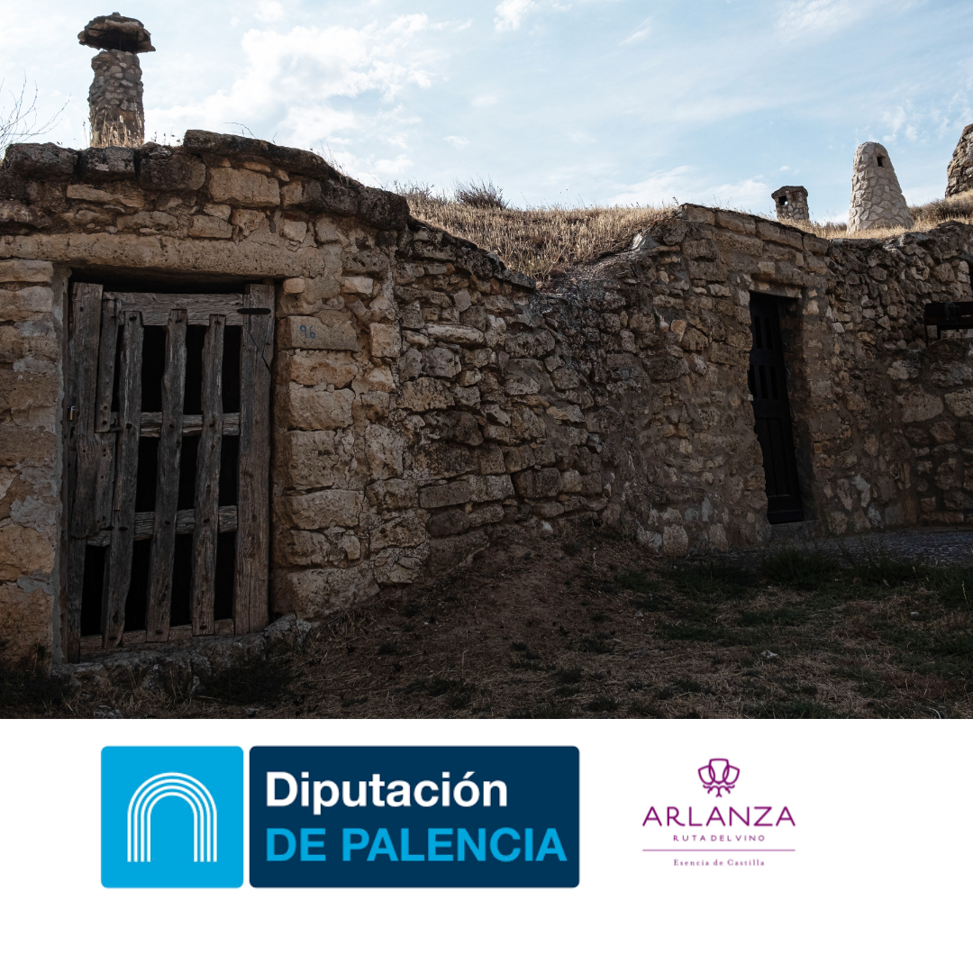 Viñedos y puesta de sol