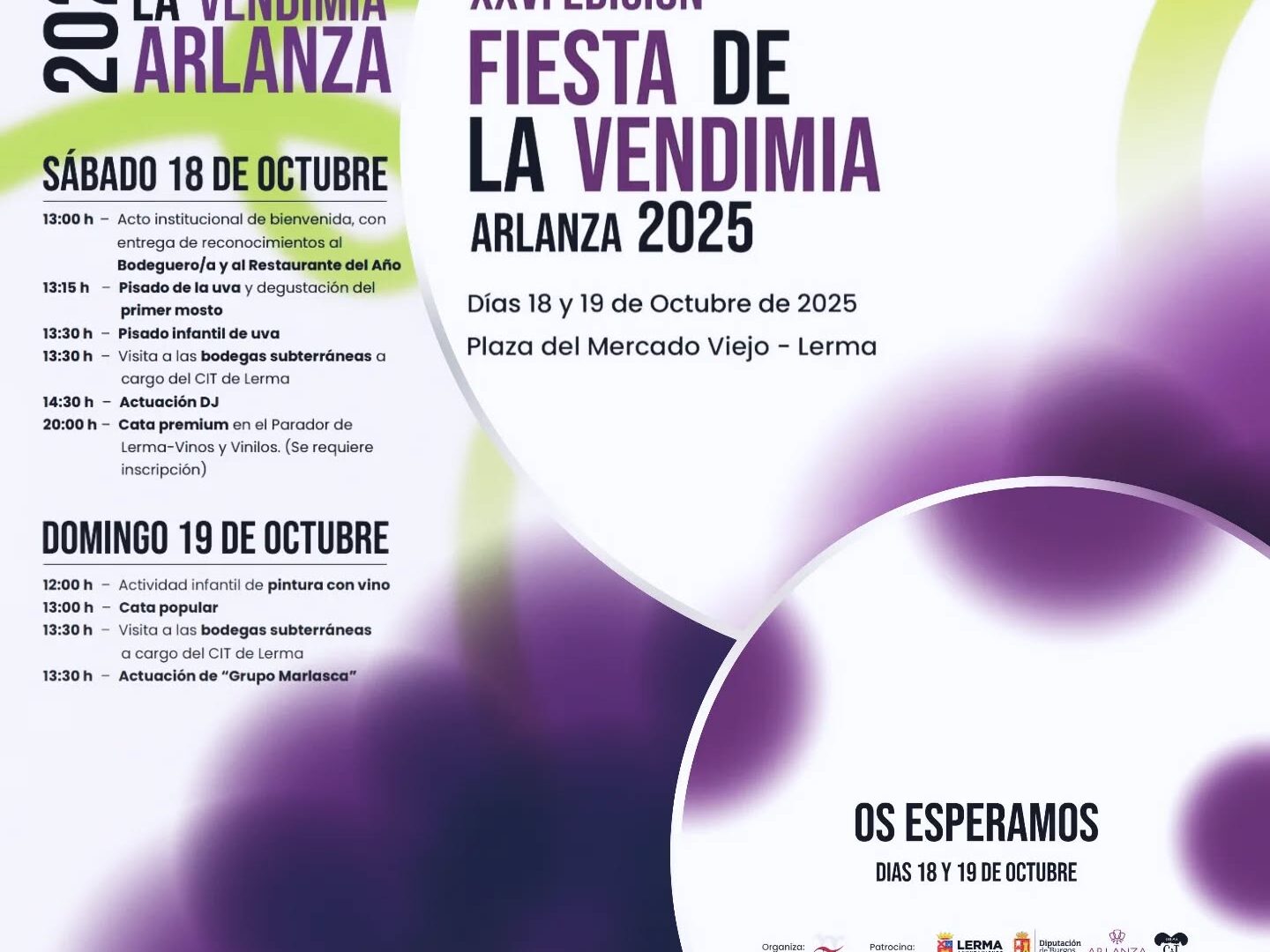 Viñedos y puesta de sol