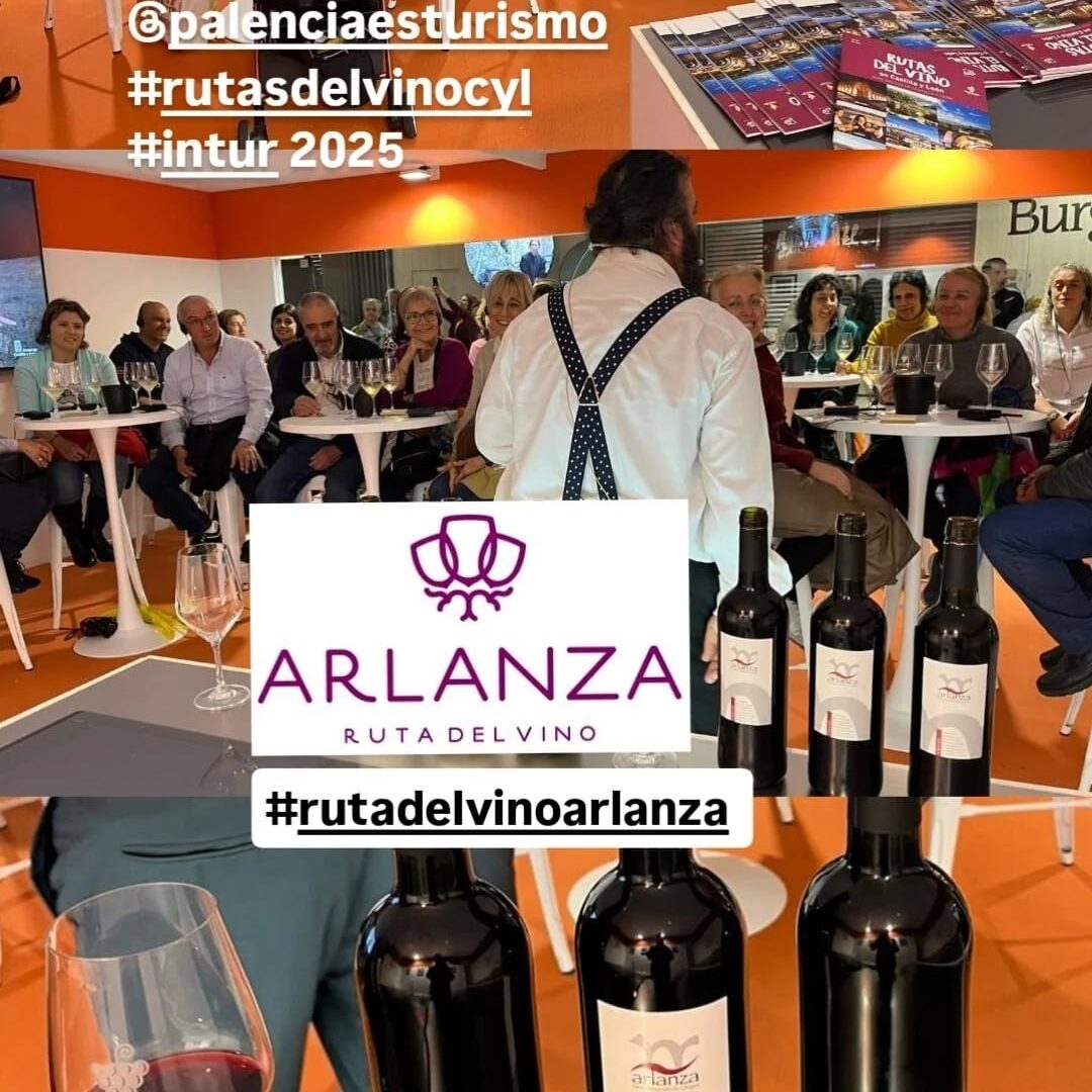 Viñedos y puesta de sol