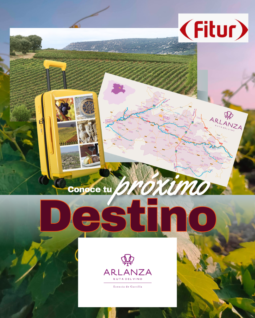 Viñedos y puesta de sol