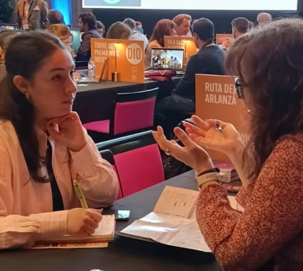 Viñedos y puesta de sol