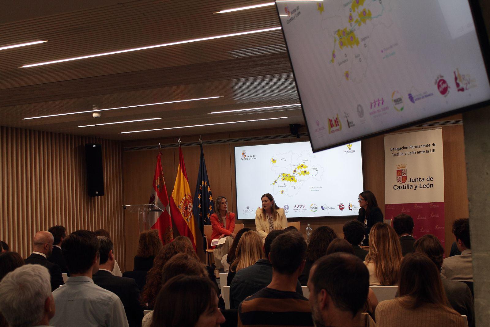 Viñedos y puesta de sol