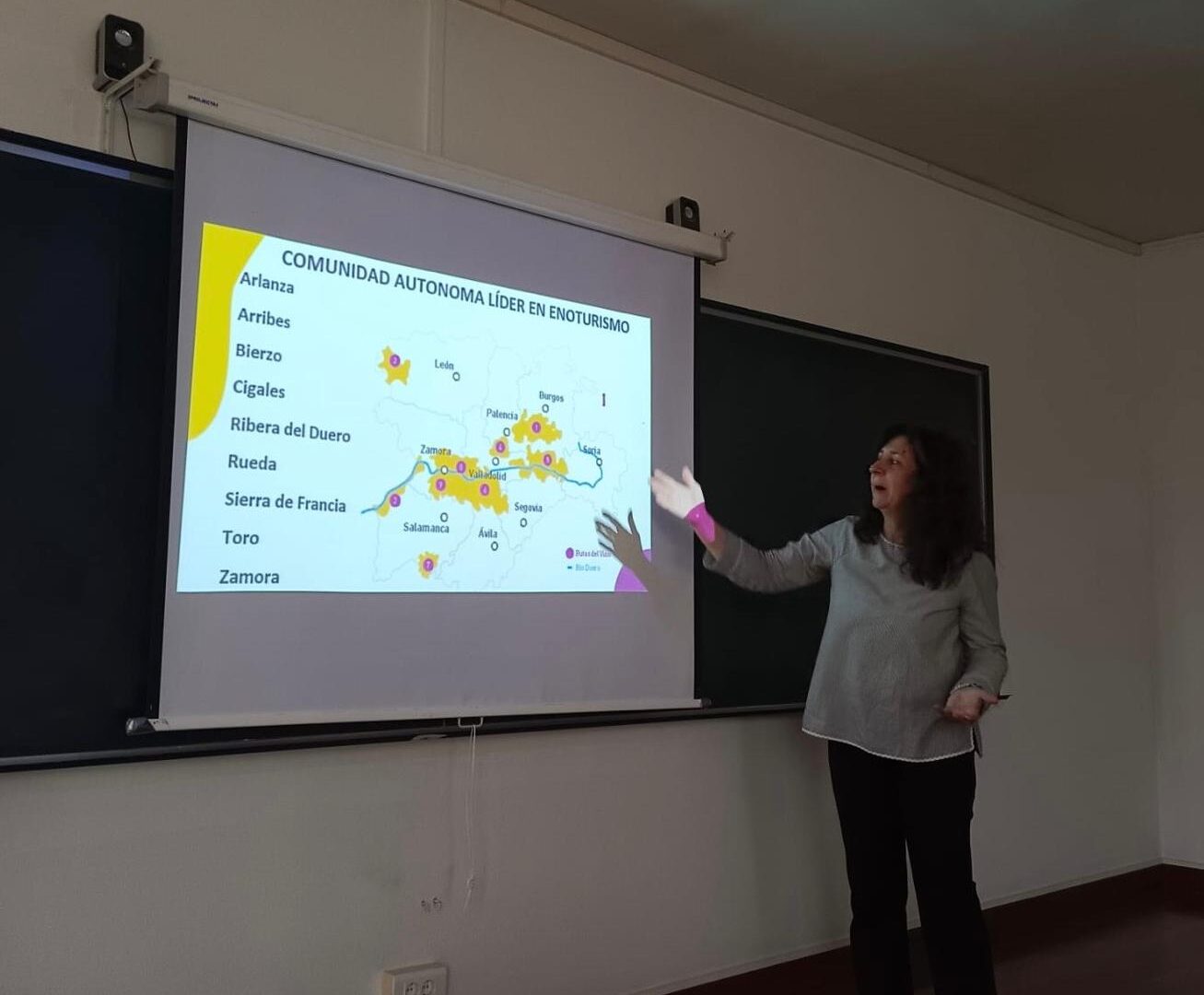 Viñedos y puesta de sol